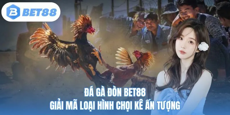Đá gà đòn